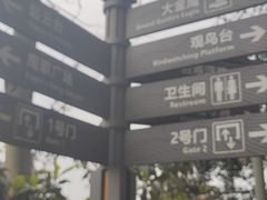-大金鹰园