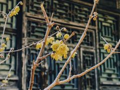 -颐和园