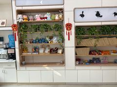 -凯瑞希宠物医院·狂犬免疫·微创·皮肤科