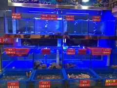 -小龍鳳·港式海鲜打边炉(沙湖路店)