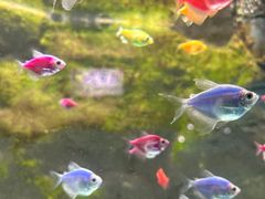 -苏州海洋馆