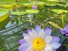 -国家植物园南园