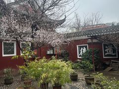 -长春观