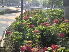 -常州古运河南大街文化旅游区-人民公园