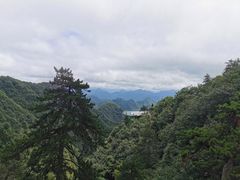 -塔云山