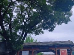 -北京鲁迅博物馆(北京新文化运动纪念馆鲁博馆区)