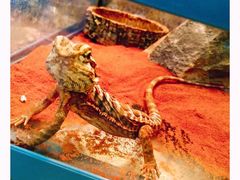 -证大大拇指广场(芳甸路店)