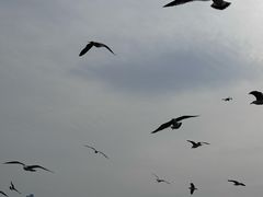 -星海广场