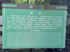-王家大院
