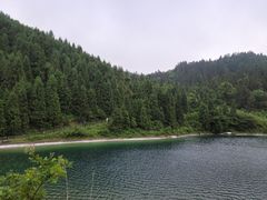 -武陵山森林公园