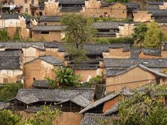 -杨家堂村