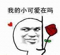 -萃茶师(琅西店)