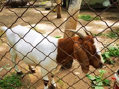 -草根堂农场