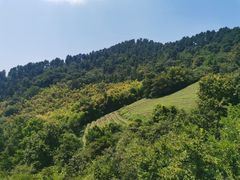 -敬亭山风景名胜区