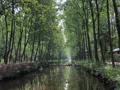 -合肥滨湖国家森林公园