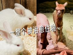 -正佳极地海洋世界