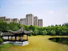 -高子水居