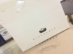 -BLACKSWAN黑天鹅(环球店)