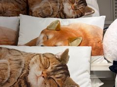 -NITORI 宜得利家居(上海中山公园龙之梦店)