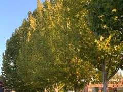 -北京园博大酒店