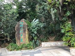 -深圳仙湖植物园