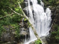 -海南热带雨林国家公园吊罗山景区