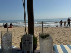 -芽庄喜来登水疗酒店