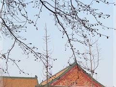 -湛山寺