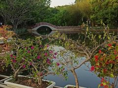 -深圳龙潭公园
