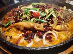 -老板恋上鱼(高新万达店)