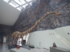 -中华赏石园