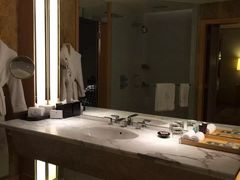 -新加坡丽思卡尔顿美年酒店