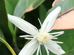 -东天目山风景区