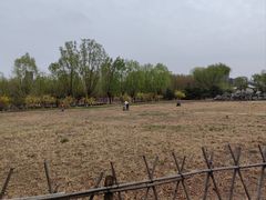 -东升八家郊野公园