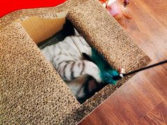 -H立方实景剧情密室(天河旗舰店)