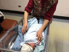 -田螺阿姨自营月嫂·育儿嫂(高新店)