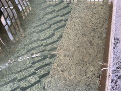 -裕龙汤泉