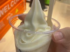-萨朗刀克冰淇淋雪花凉(植物园店)