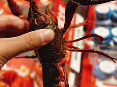 -阿财老铺·老蚌埠龙虾城(华夏总店)