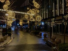 -维也纳国际酒店·上海虹桥火车站国家会展中心店