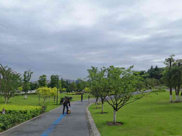 颐和·生态公园停车场"这几天天气不好,不是9715就是79.