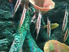 -沈阳海洋探索中心