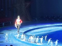 -珠海横琴长隆《卡卡虎奇遇记》