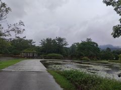 -中国科学院西双版纳热带植物园