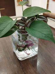 -OM瑜伽教练培训学院