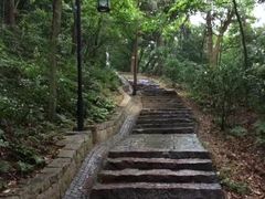 -钱江新城灯光秀