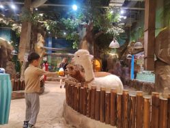 -宝燕乐园(闵行旗舰店)