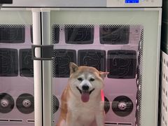 -FAELING PETS美天灵宠物(合生汇店)