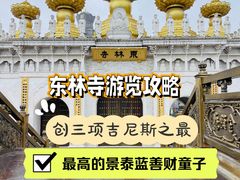 -上海东林寺(金山区)