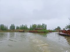 -泗洪洪泽湖湿地景区